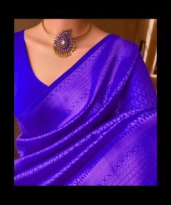 indian kanjiboron saree
