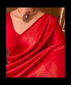 indian kanjiboron saree